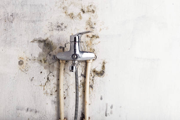 Mold Testing and Removal in Highfill, AR