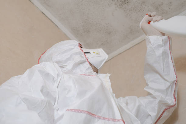 Best Toxic Mold Removal  in Highfill, AR