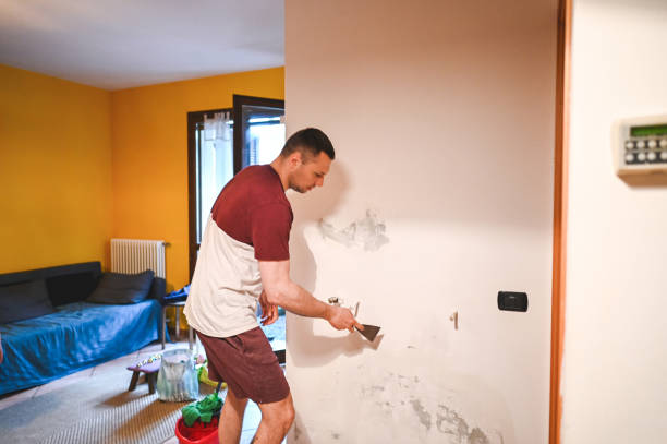 Best Local Mold Removal Service  in Highfill, AR